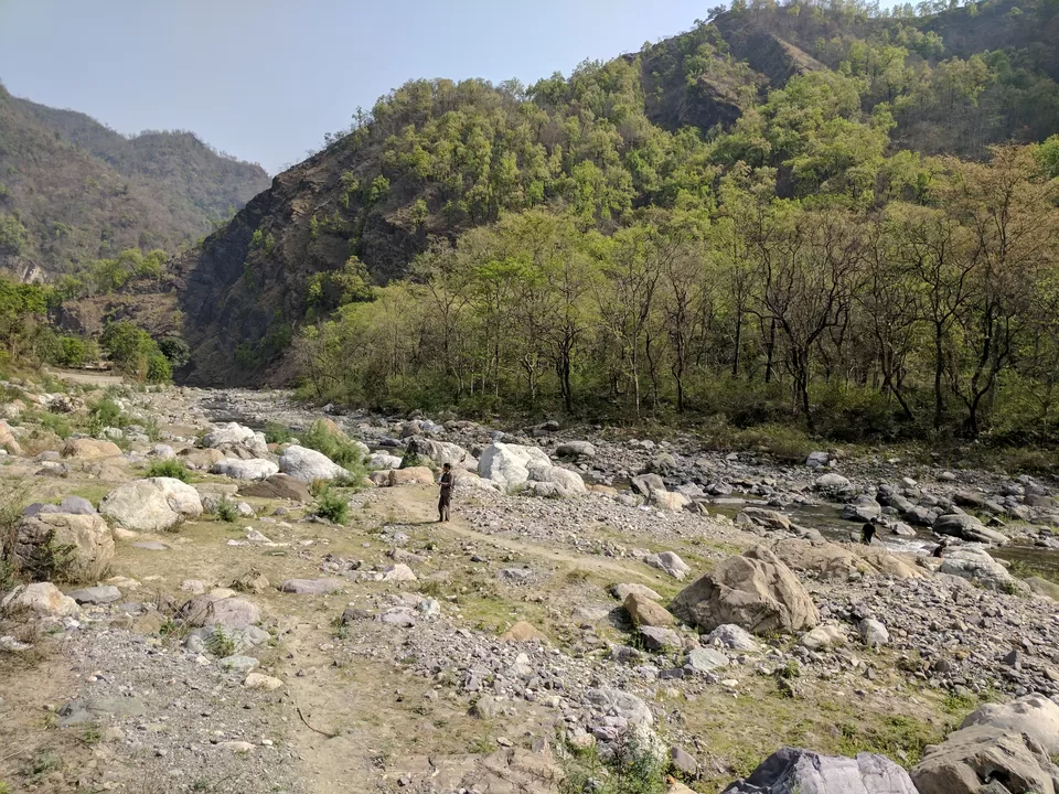 Photo of Wildex Camp Rishikesh, Paliyal Gaon, Uttarakhand, India by Shashank Sinha