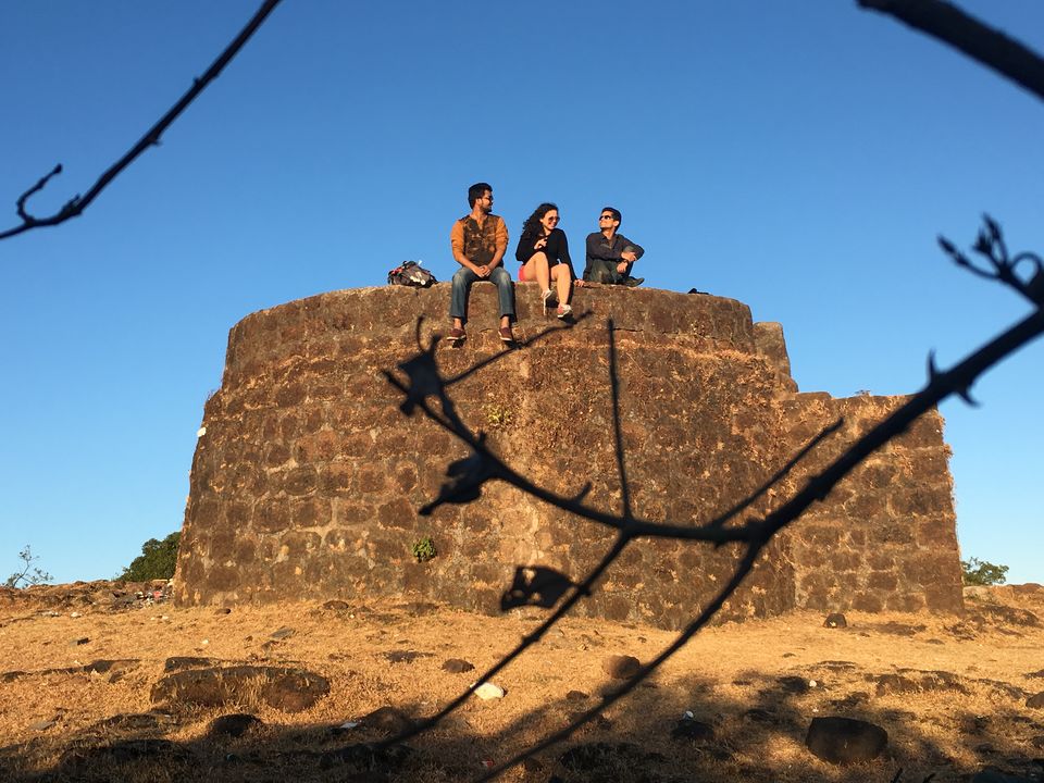 Photo of Mumbai Lonavla Mahabaleshwar Roadtrip - Part 2 - Treat your taste buds at Strawberry farms of Mapro! by Shashank Sinha