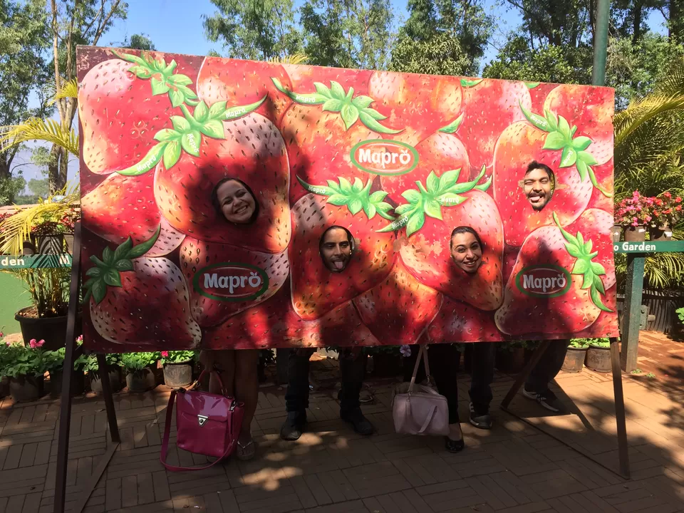Photo of Mumbai Lonavla Mahabaleshwar Roadtrip - Part 2 - Treat your taste buds at Strawberry farms of Mapro! by Shashank Sinha