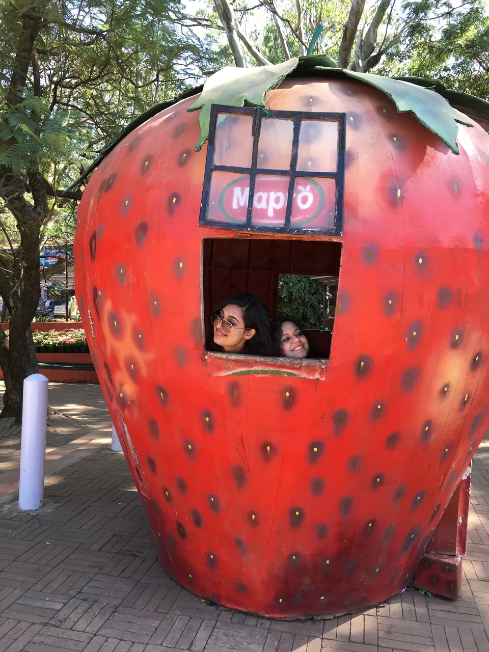 Photo of Mumbai Lonavla Mahabaleshwar Roadtrip - Part 2 - Treat your taste buds at Strawberry farms of Mapro! by Shashank Sinha