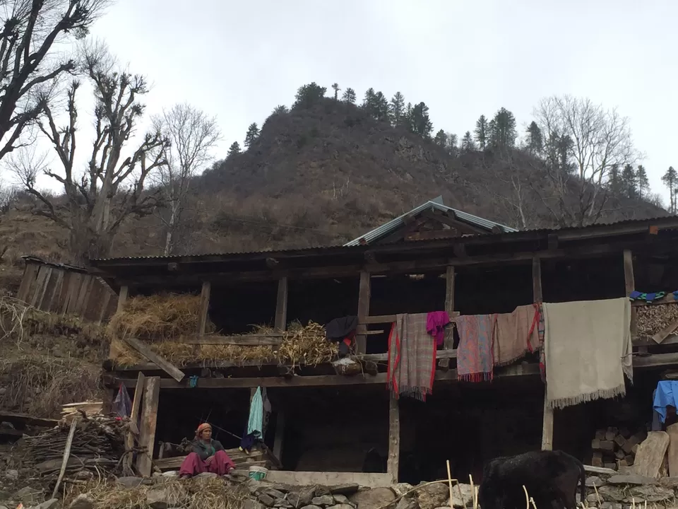 Photo of Tosh, Himachal Pradesh, India by Shashank Sinha