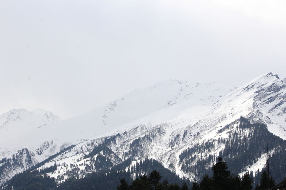 Photo of Winter is Here - Kasol & Tosh - Witnessing last snow of the season by Shashank Sinha