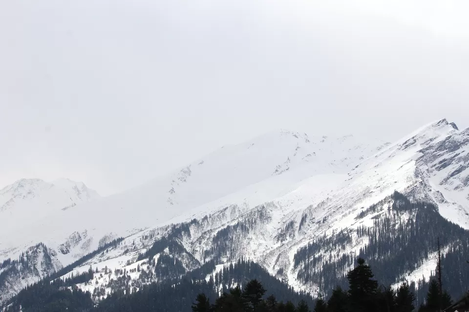 Photo of Winter is Here - Kasol & Tosh - Witnessing last snow of the season by Shashank Sinha