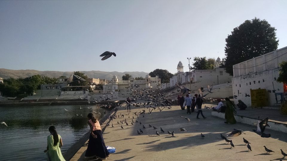 Photo of Rajasthan Diaries - A 7 day trip - Holy Call in Ajmer and Pushkar - Part 3 by Shashank Sinha