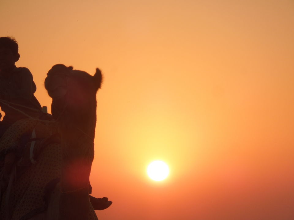 Photo of Rajasthan Diaries - A 7 day trip - Sam Sand Dunes Safari, Parasailing & More - Part 6 14/21 by Shashank Sinha