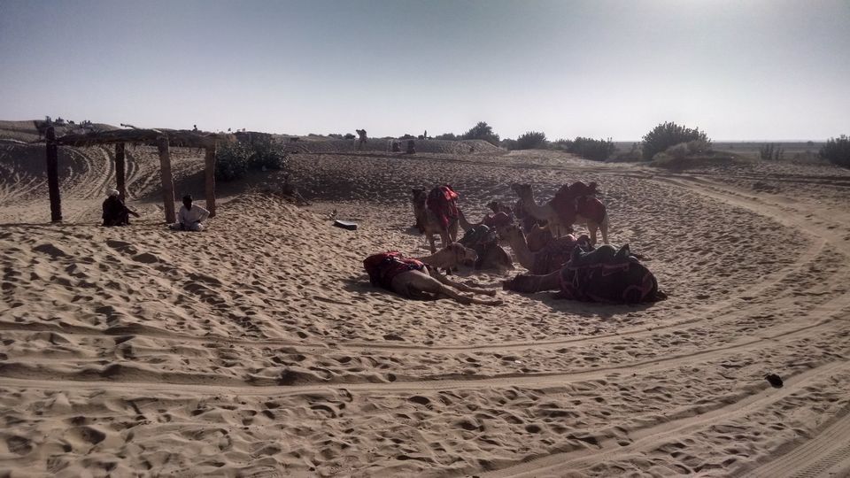 Photo of Rajasthan Diaries - A 7 day trip - Sam Sand Dunes Safari, Parasailing & More - Part 6 3/21 by Shashank Sinha