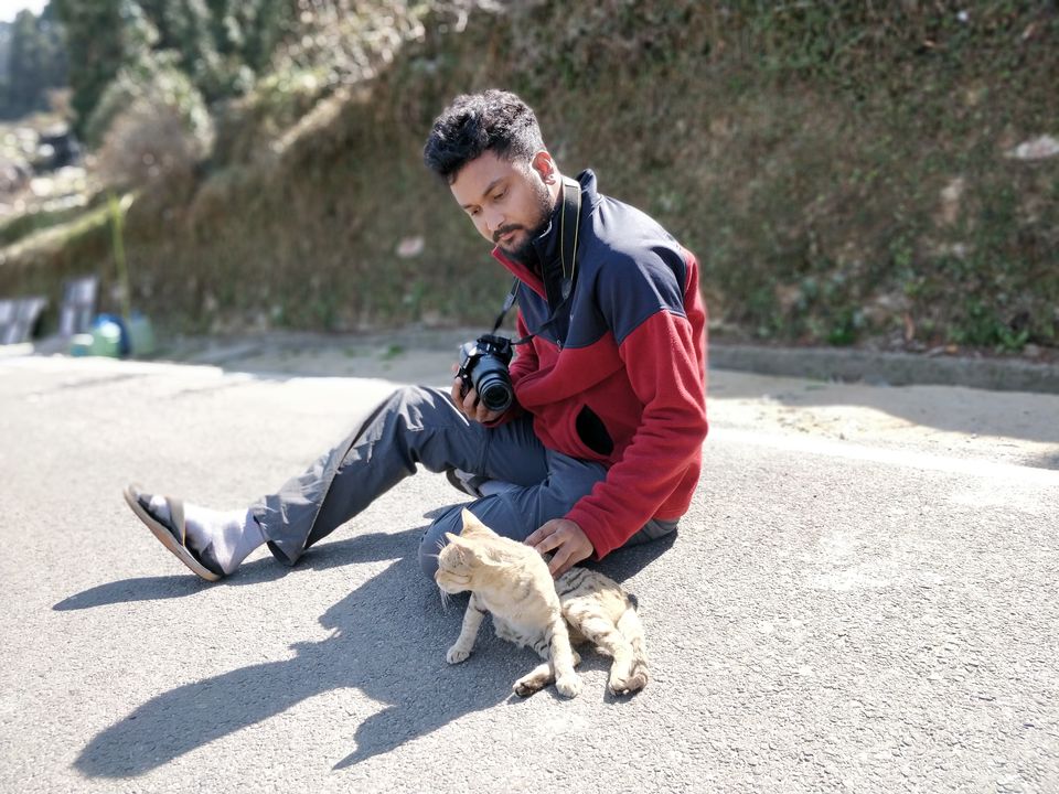 Photo of 6 Tips and Tricks to Win the Tripoto Leaderboard & Travel For Free 6/10 by Shashank Sinha