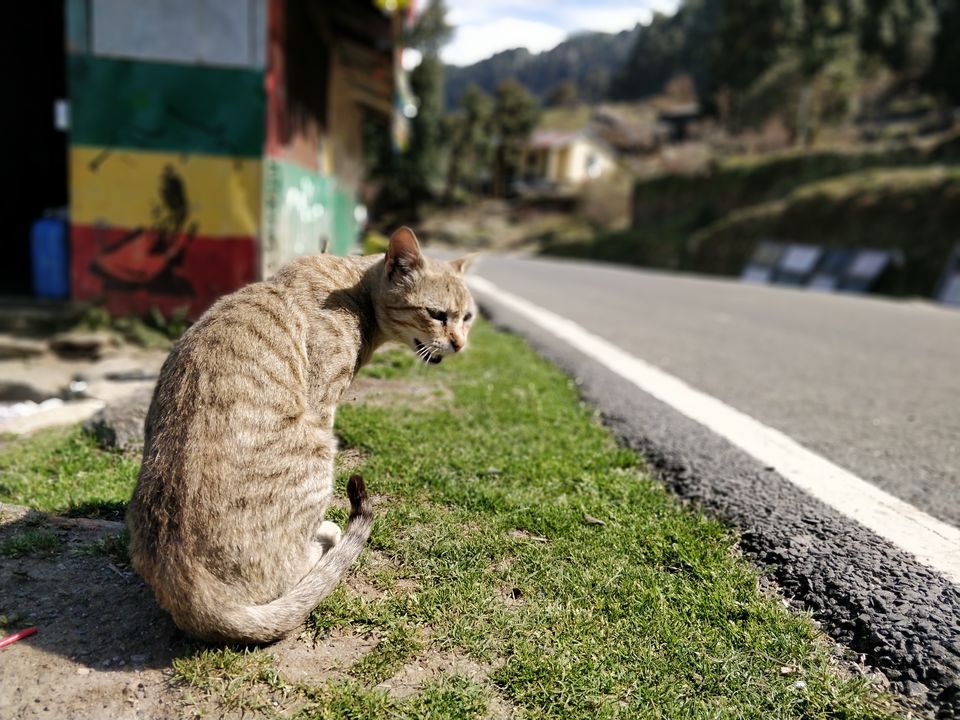 Photo of 6 Tips and Tricks to Win the Tripoto Leaderboard & Travel For Free 8/10 by Shashank Sinha