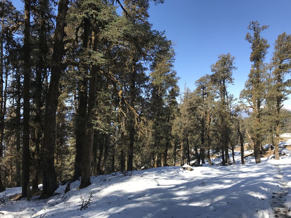 Photo of KedarKantha - Here's why it should be your first winter trek by Shashank Sinha