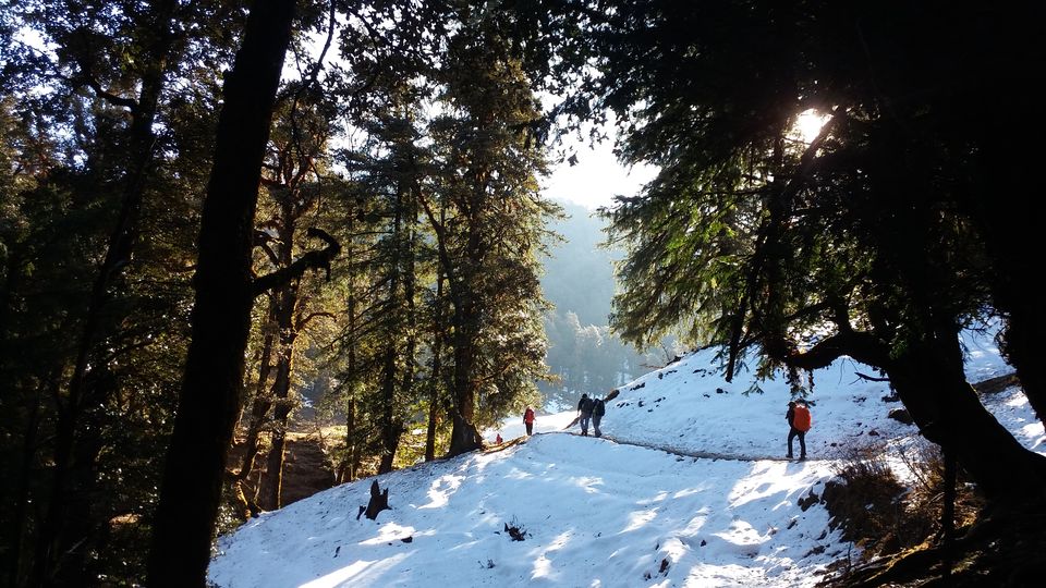 Photo of KedarKantha - Here's why it should be your first winter trek by Shashank Sinha