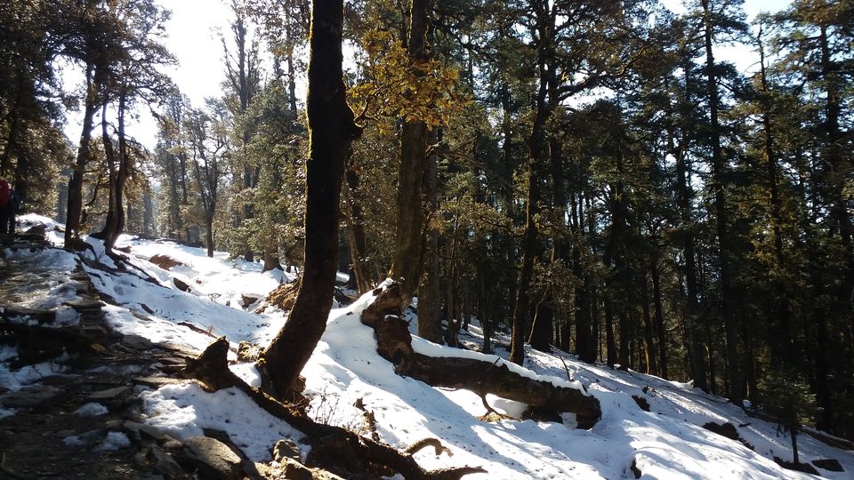 Photo of KedarKantha - Here's why it should be your first winter trek by Shashank Sinha