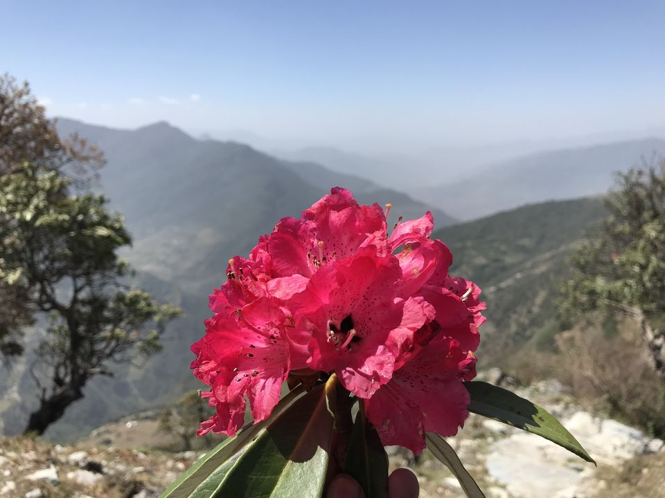 Photo of Chandrashila - My pilgrimage for the second time. by Shashank Sinha