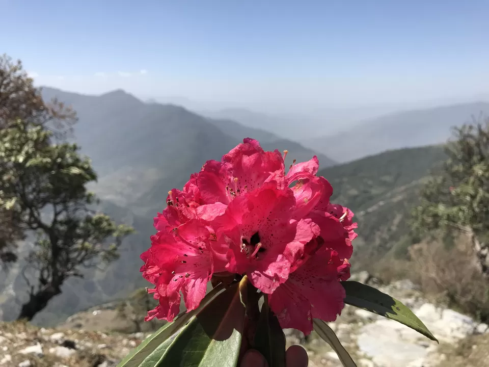 Photo of Chandrashila - My pilgrimage for the second time. by Shashank Sinha