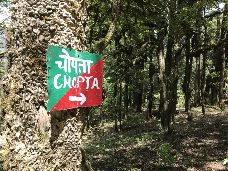 Photo of Chandrashila - My pilgrimage for the second time. by Shashank Sinha