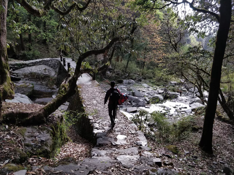 Photo of Chandrashila - My pilgrimage for the second time. by Shashank Sinha
