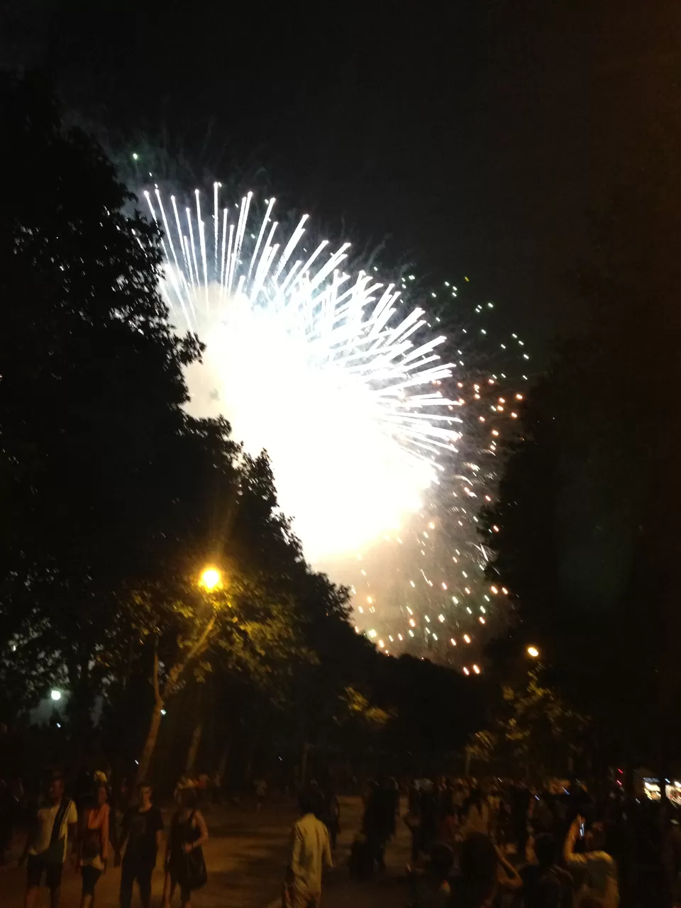 Photo of Bastille Day Fireworks by Megha Kaladharan