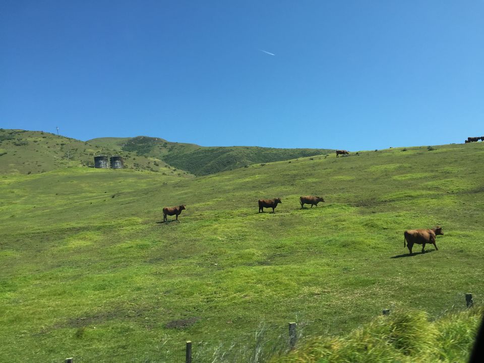 Photo of Driving through the scenic CA1 12/12 by Aswathy