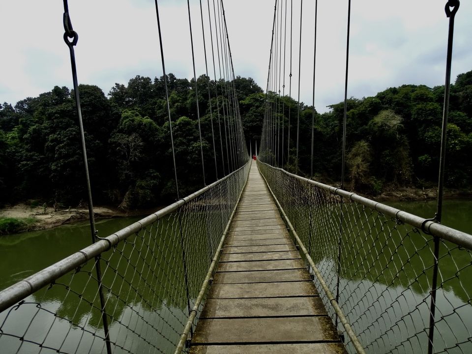 Photo of To the oldest teak plantation.. 2/4 by Aswathy