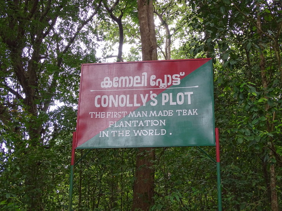 Photo of To the oldest teak plantation.. 4/4 by Aswathy