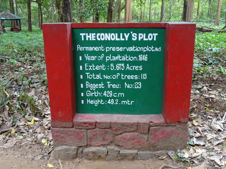 Photo of Conolly's Plot, Nilambur, Kerala, India by Aswathy