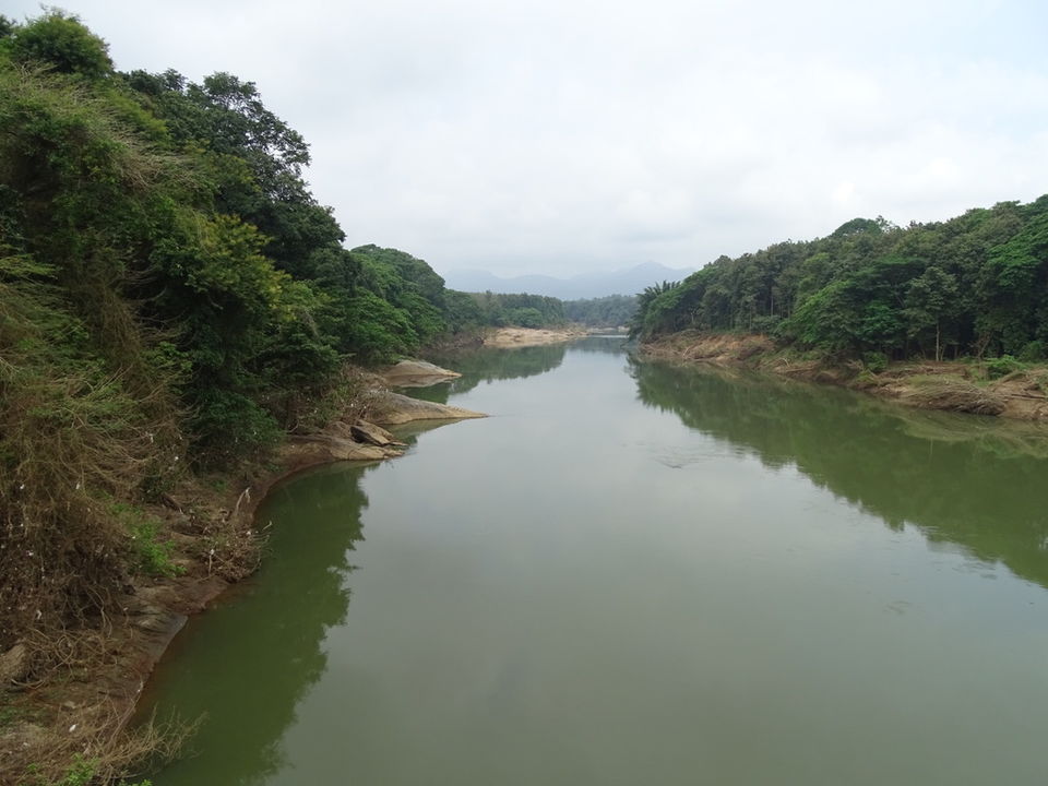 Photo of Conolly's Plot, Nilambur, Kerala, India by Aswathy