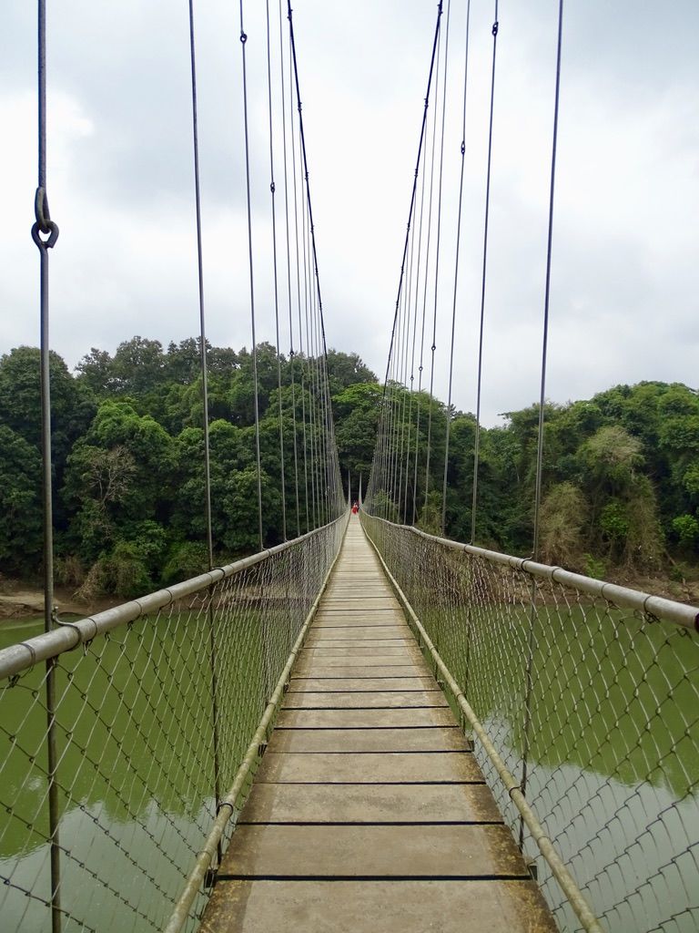 Photo of To the oldest teak plantation.. by Aswathy