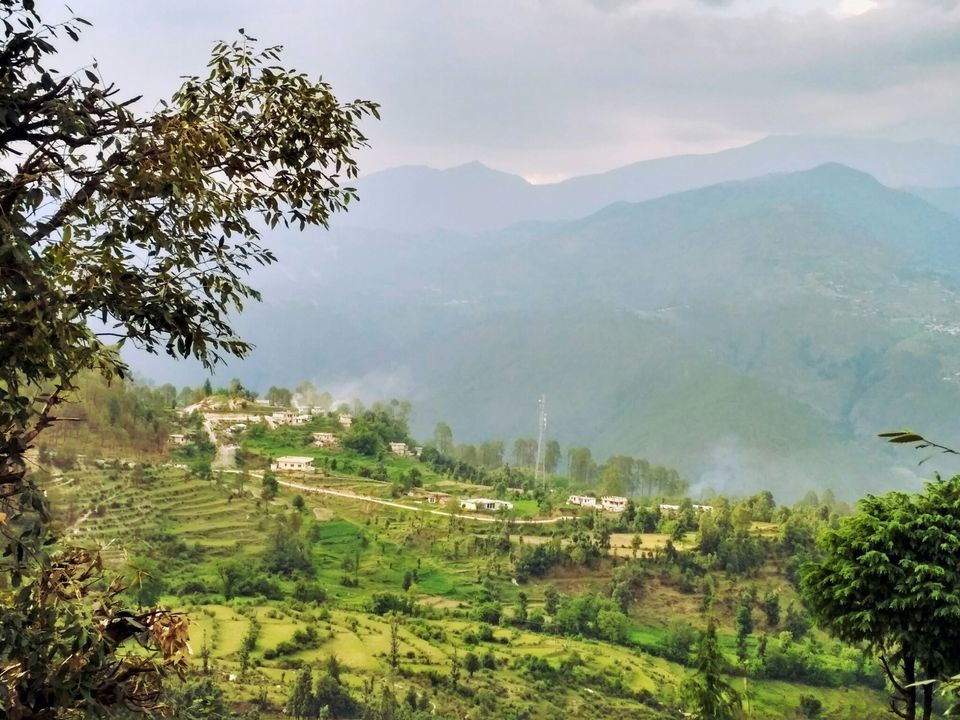 Photo of Bedini Bugyal'17 by Ashaka Shah