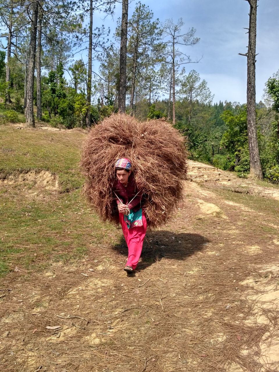 Photo of Bedini Bugyal'17 by Ashaka Shah