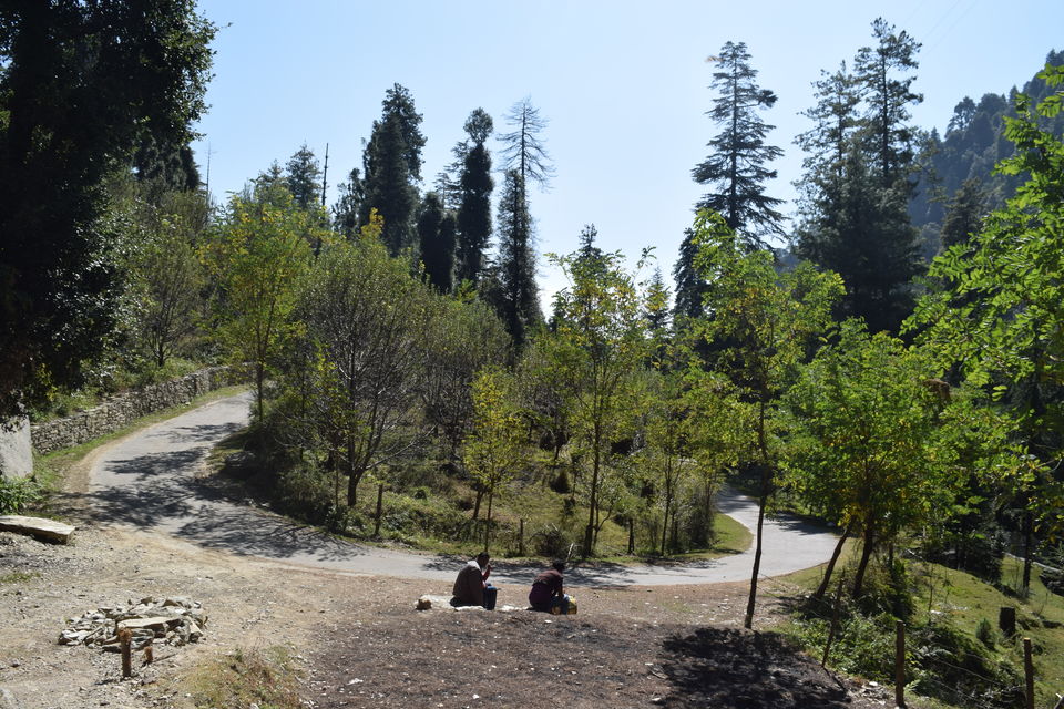 Photo of Trek to Prashar Lake- A photo blog 2/14 by trishna sarma