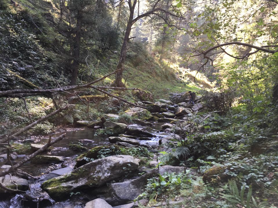 Photo of Trek to Prashar Lake- A photo blog 4/14 by trishna sarma