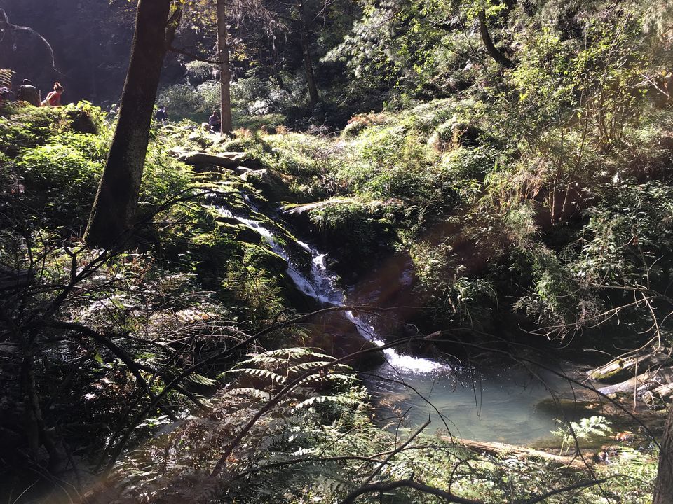 Photo of Trek to Prashar Lake- A photo blog 5/14 by trishna sarma