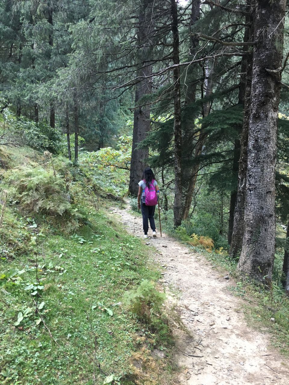 Photo of Trek to Prashar Lake- A photo blog 6/14 by trishna sarma
