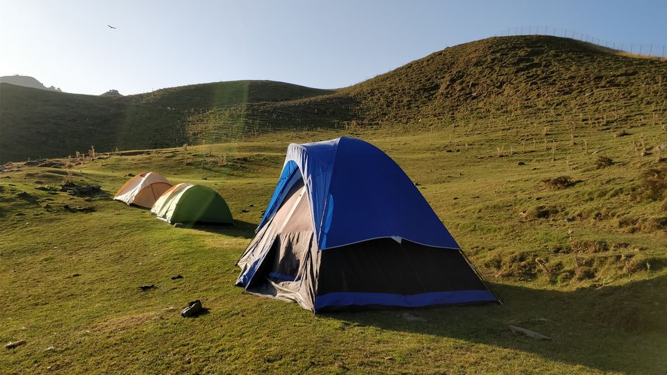 Photo of Trek to Prashar Lake- A photo blog 11/14 by trishna sarma