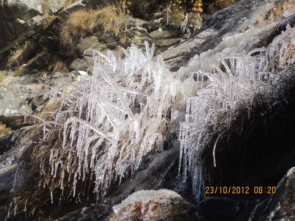 Photo of Gangotri National Park, Uttarkashi, Uttarakhand, India by Jaiveer Yadav