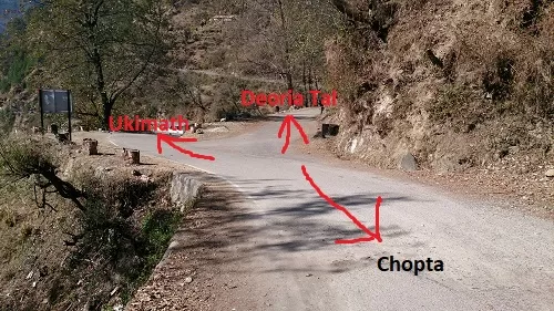 Photo of Bikers’ Bliss-Chopta Day 2 by Jaiveer Yadav