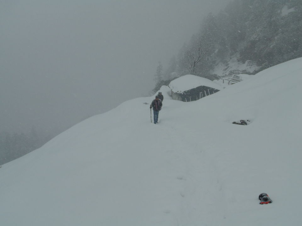 Photo of Biker's Bliss Chopta Day 3 by Jaiveer Yadav