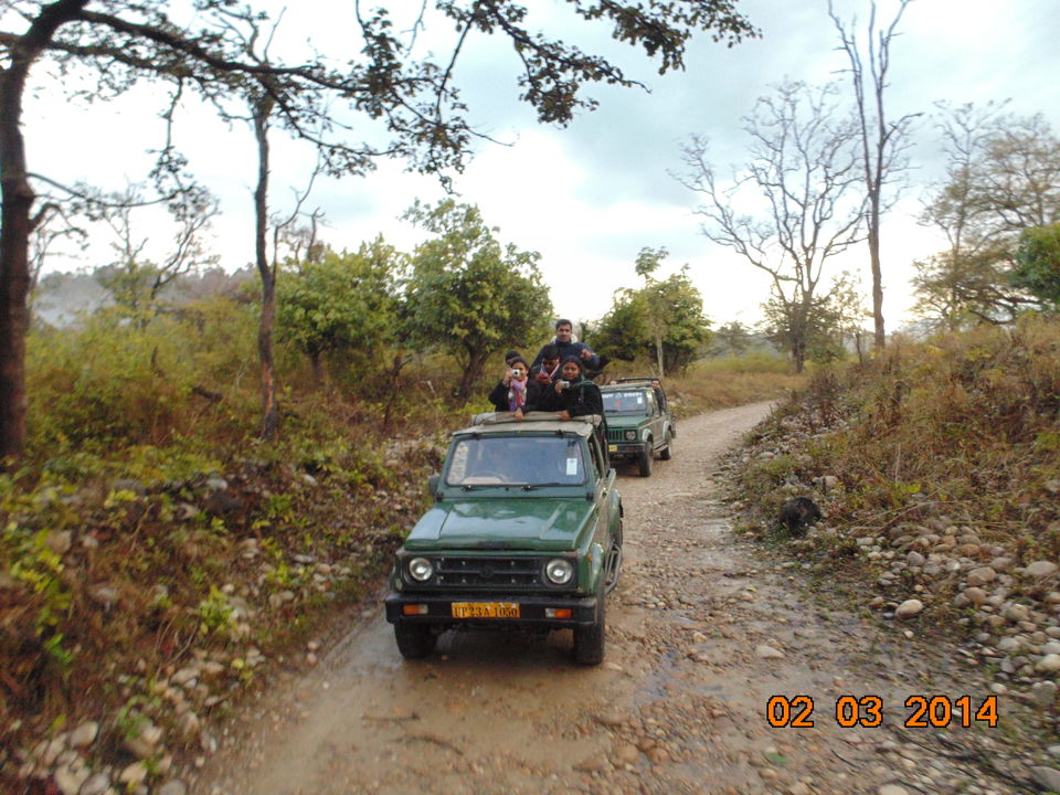 Photo of Jim Corbett National Park, Ramnagar, Uttarakhand, India by Jaiveer Yadav