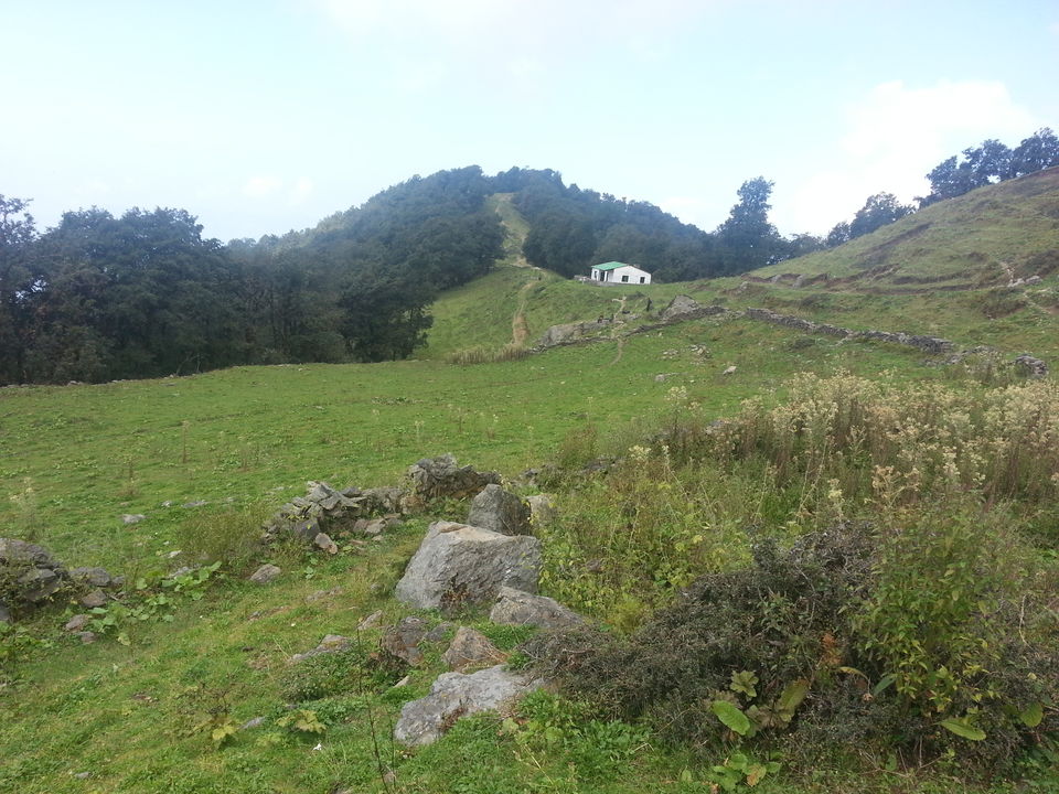 Photo of Nag Tibba Trek, Nainbag, Uttarakhand, India by Jaiveer Yadav