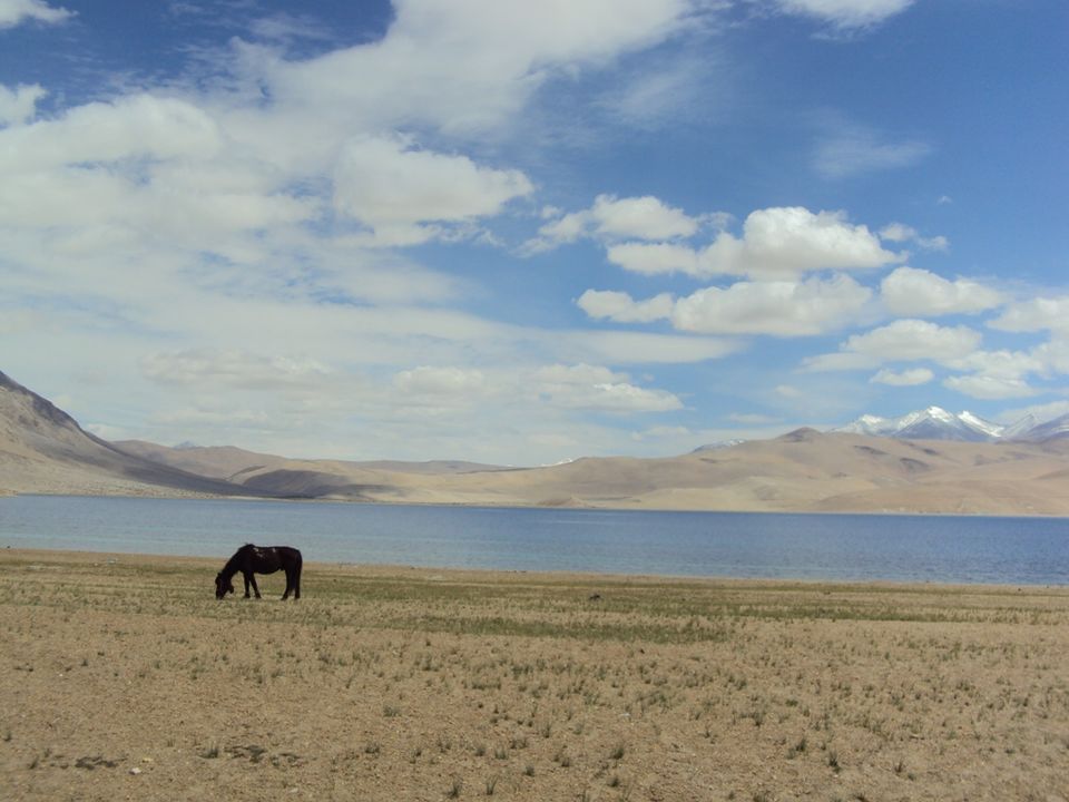 Photo of Paradise Of Ladakh In Pictures 4/26 by Romeo Alpha