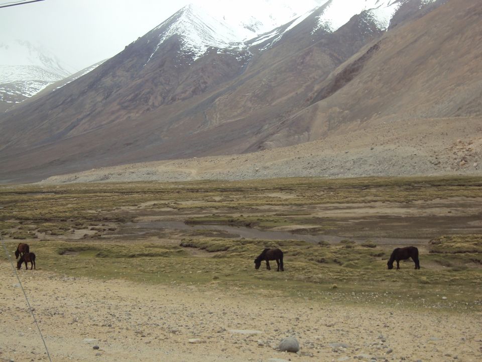 Photo of Paradise Of Ladakh In Pictures 11/26 by Romeo Alpha