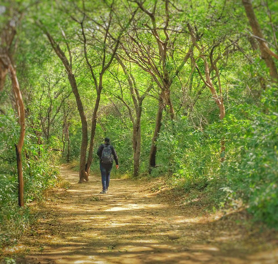 Photo of Mumbai to Lonar Crater – A Dummies Guide 12/14 by Sachin Shah
