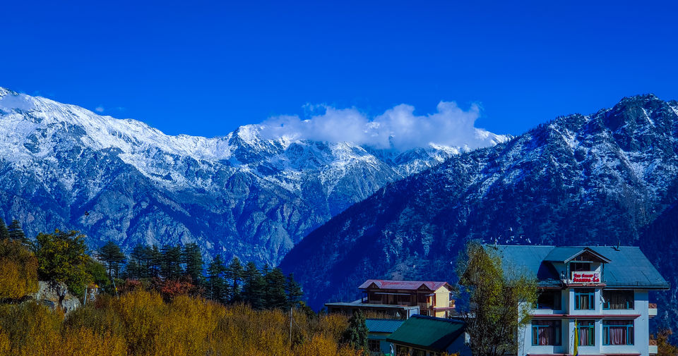 Photo of Kalpa, Himachal Pradesh, India by Prashant Sinha