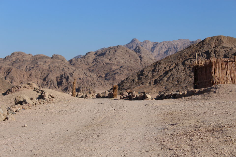 Photo of The Arabic Saga continues.. 3/15 by arshkiran sandhu