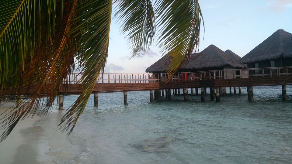 Photo of Mesmerizing Maldives 4/7 by Gypsytipsytoes