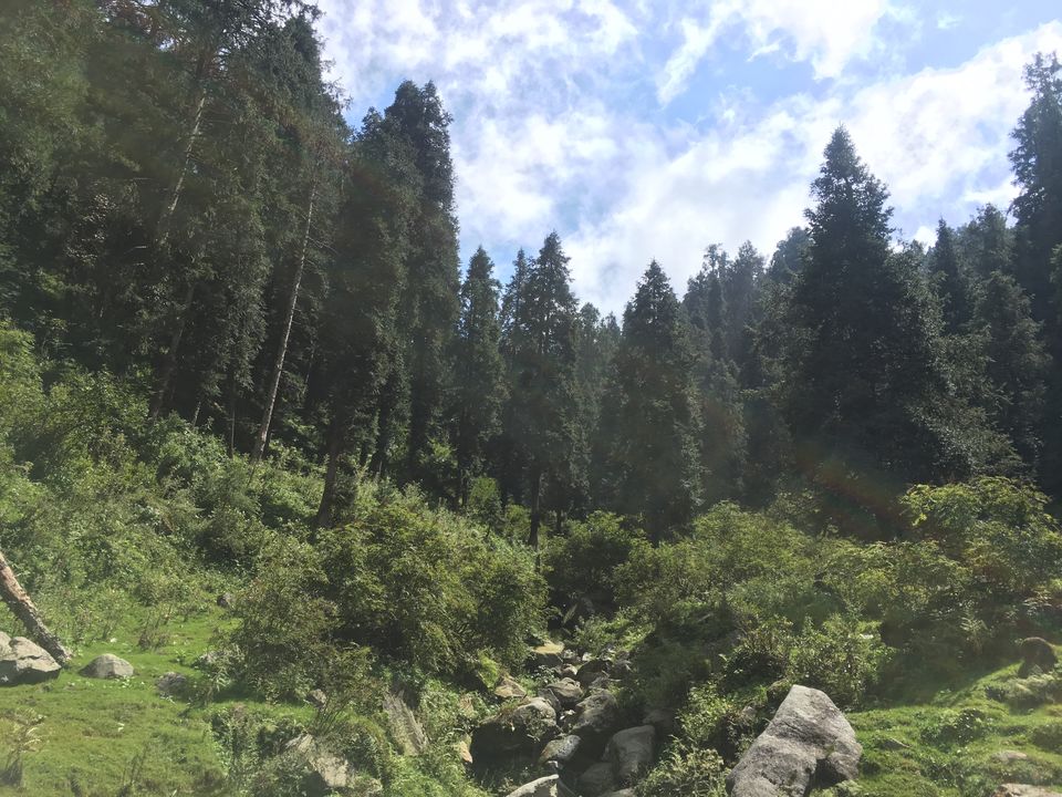 Photo of Mini Switzerland of India: Khajjiar in under 900 2/3 by Mayank Gupta