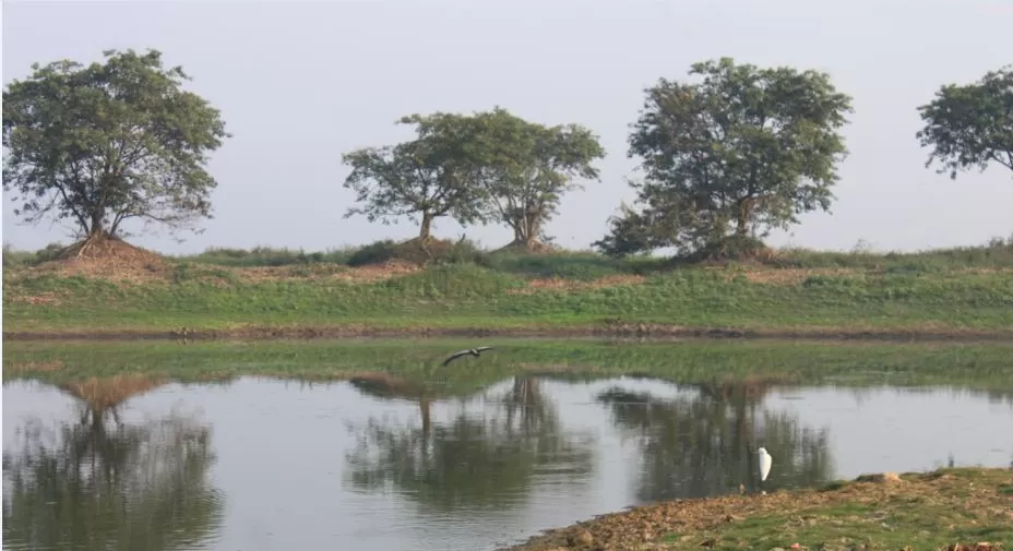 Photo of Deepor Beel Birds Sanctuary, Guwahati, Assam, India by Sriram Muthuvel