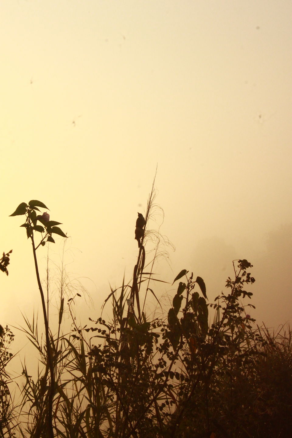 Photo of Dream Trip to NE India ! by Sriram Muthuvel