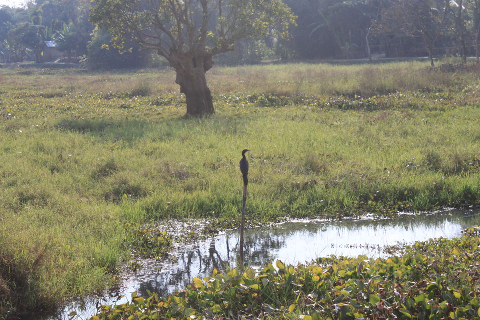 Photo of Dream Trip to NE India ! by Sriram Muthuvel