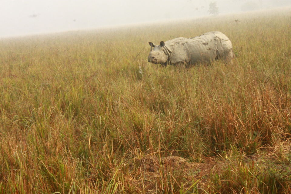 Photo of Guwahati, Assam, India by Sriram Muthuvel