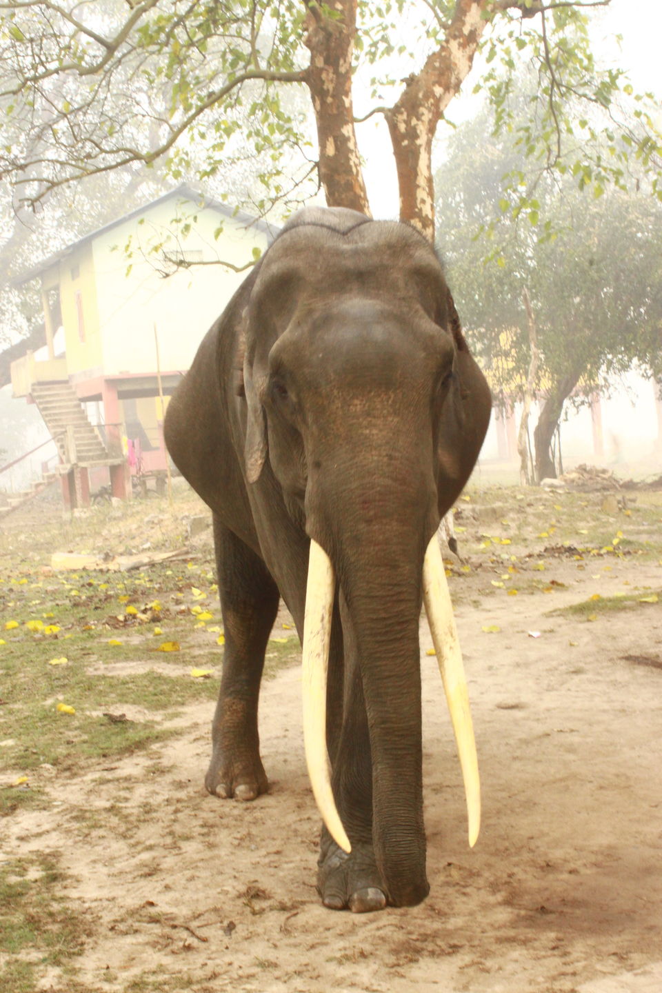 Photo of Dream Trip to NE India ! by Sriram Muthuvel